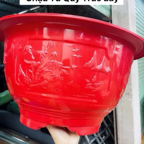 Sỉ 10 Chậu nhựa Đỏ T57 Tứ Quý Trúc dày hàng bóng dày đẹp không bể vỡ trồng cây (hàng đẹp ) ngang 55cmx28cm