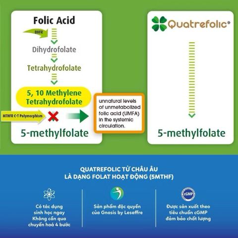 Sắt Hữu Cơ Bổ Sung 5MTHF Sắt Avisure Safoli New Cho Bà Bầu & Sau Sinh