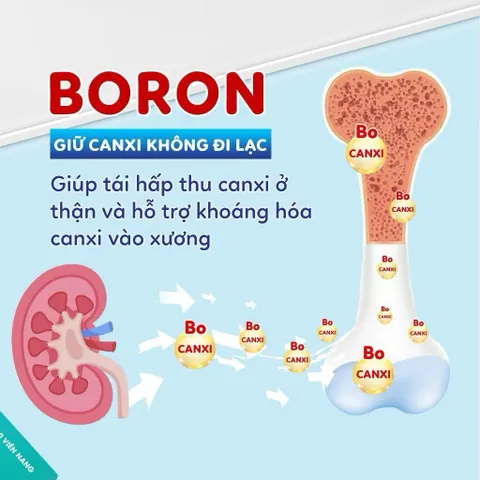 [ DATE MỚI] Canxi Hữu Cơ Cho Mẹ Sau Sinh  TPBVSK Calcium Phòng Loãng Xương Cho Bà Bầu Và Cho Con Bú