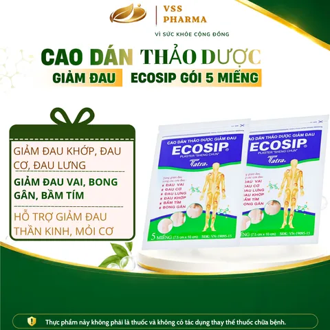 (HÀNG TẶNG KHÔNG BÁN) Cao dán thảo dược ECOSIP gói 5 miếng