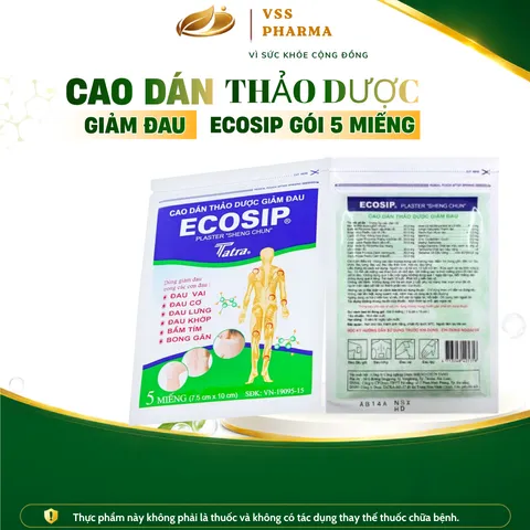 (HÀNG TẶNG KHÔNG BÁN) Cao dán thảo dược ECOSIP gói 5 miếng