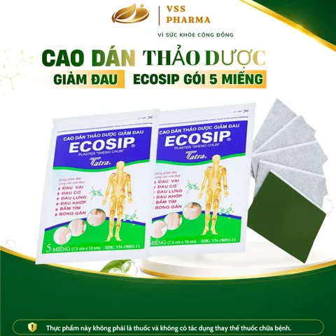 (HÀNG TẶNG KHÔNG BÁN) Cao dán thảo dược ECOSIP gói 5 miếng