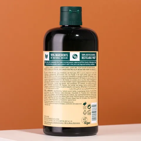 CÓ SẴN - (Chai lớn 400ml) Dầu gội đầu The Body Shop Gừng Shampoo 792879
