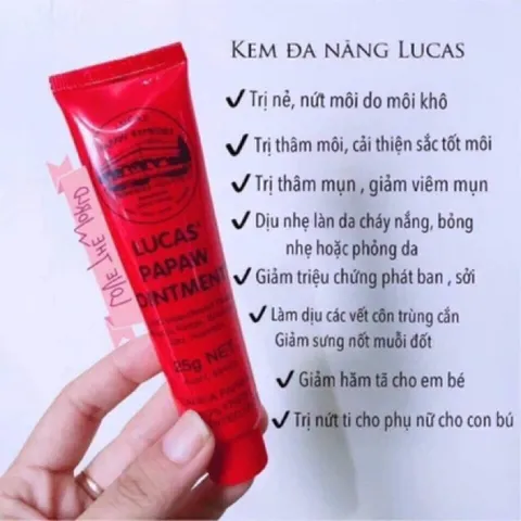 (Bán sỉ) Combo 5 Kem đa năng Lucas Papaw Ointment 25g Úc 793461