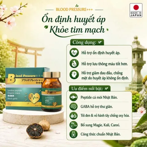 Viên uống hỗ trợ giảm nguy cơ cao huyết áp do mỡ máu cao Blood Pressure+++ Jpanwell (60 viên)