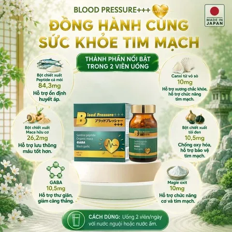 Viên uống hỗ trợ giảm nguy cơ cao huyết áp do mỡ máu cao Blood Pressure+++ Jpanwell (60 viên)