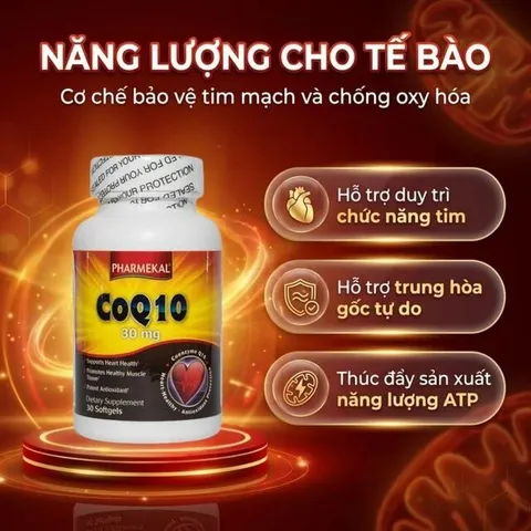 Viên uống hỗ trợ sức khỏe tim mạch, giảm cholesterol máu CoQ10 30mg Pharmekal (30 viên)