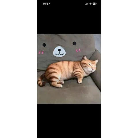 Gối ôm 3D hình mèo mướp màu cam (gối ôm thú bông) size 60cm