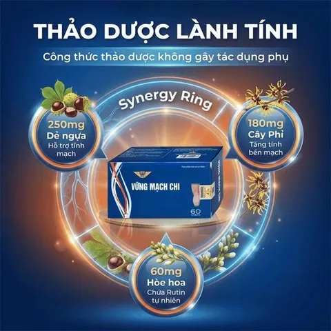 Viên uống giúp giảm nguy cơ suy tĩnh mạch, tăng tính bền thành mạch Vững Mạch Chi Kingphar (6 vỉ x 10 viên)