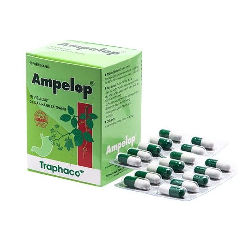 Viên uống Ampelop chiết xuất cao đặc lá chè dây, hỗ trợ giảm loét dạ dày, trào ngược, vi khuẩn HP