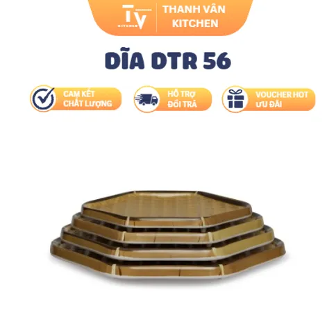 Dĩa DTR 56 (TV1603)
