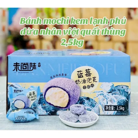 🍡 bánh mochi kem lạnh thùng 2.5kg – thơm ngon, mát lạnh, nhiều vị hấp dẫn
