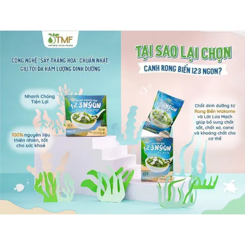 COMBO 3 HỘP CANH RONG BIỂN 123 NGON TÂM MINH FOODS 55G (10 GÓI x 5.5G)