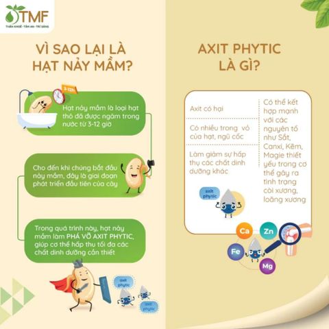 Combo 1 hộp Bột ngũ cốc nảy mầm 900g Tami 50 gói không đường và 1 hộp Bột ngũ cốc Tamigreen 900g TÂM MINH FOODS