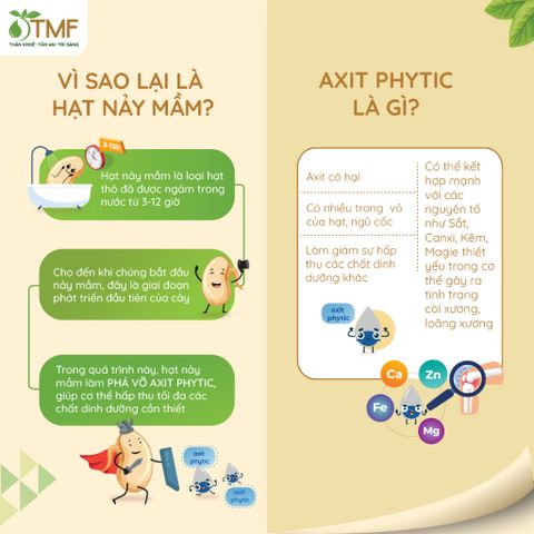 Bột ngũ cốc nảy mầm Tami không đường 25 gói TÂM MINH FOODS giảm cân dinh dưỡng tiện lợi healthy 793848