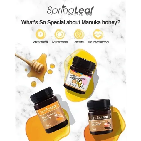 [Mật ong em bé có chỉ số mgo 250+] Mật ong em bé Springleaf Manuka Honey kids choice