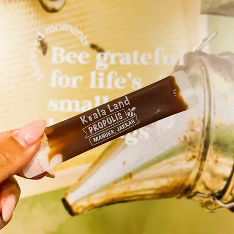 Mật Ong Dạng Que/Thanh (có loại dành riêng cho người bị tiểu đường) Koala Land Honey Stick 12 x 10g
