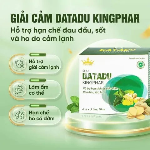 Siro hỗ trợ hạn chế đau đầu sốt ho Datadu Kingphar (4 vỉ x 5 ống x 10ml)