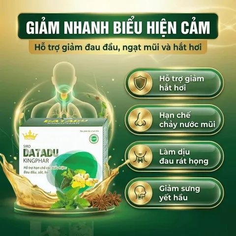 Siro hỗ trợ hạn chế đau đầu sốt ho Datadu Kingphar (4 vỉ x 5 ống x 10ml)