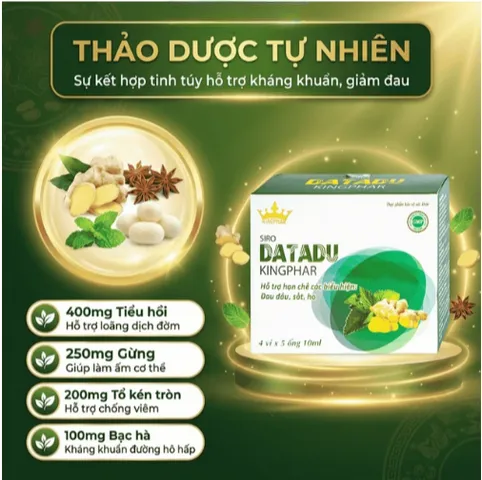 Siro hỗ trợ hạn chế đau đầu sốt ho Datadu Kingphar (4 vỉ x 5 ống x 10ml)