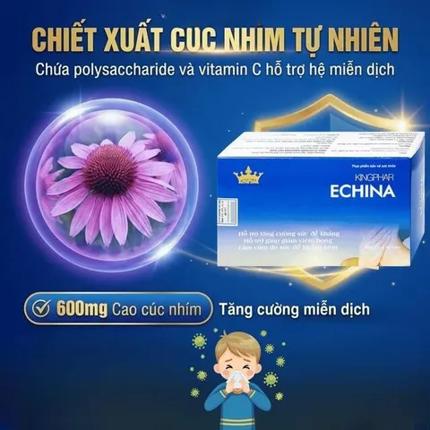Viên uống hỗ trợ tăng cường sức đề kháng, giúp giảm nguy cơ cảm cúm, viêm họng Echina Kingphar (3 vỉ x 10 viên)