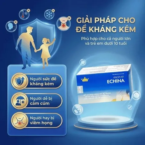 Viên uống hỗ trợ tăng cường sức đề kháng, giúp giảm nguy cơ cảm cúm, viêm họng Echina Kingphar (3 vỉ x 10 viên)