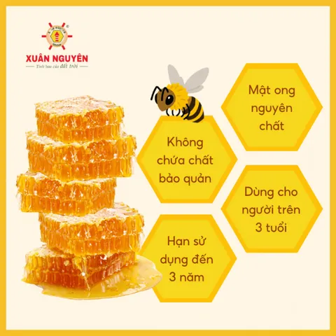 MẬT ONG RỪNG TÂY NGUYÊN XUÂN NGUYÊN