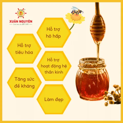 MẬT ONG RỪNG TÂY NGUYÊN XUÂN NGUYÊN