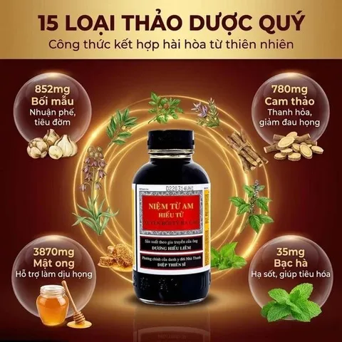 Siro giảm ho Niệm Từ Am Hiếu Tử Xuyên Bồi Tỳ Bà Cao (300ml)