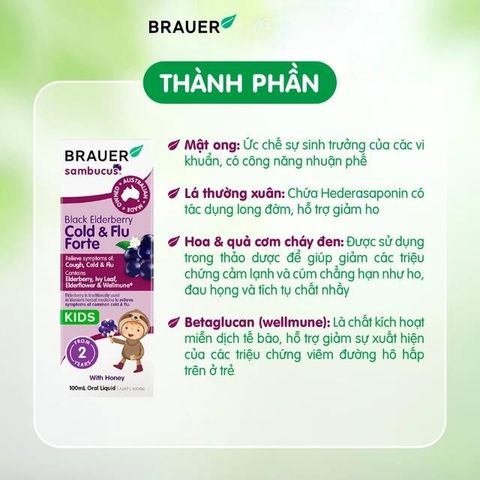 Siro hỗ trợ giảm các triệuu chứngg ho sổ mũi do cảm Black ElderBerry Cold And Flu Forte (100ml)