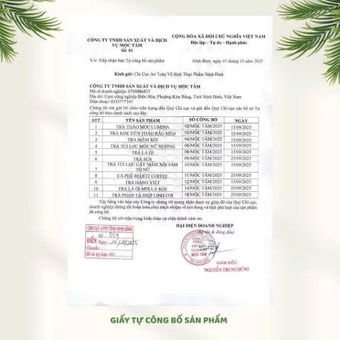 trà kim tiền thảo râu mèo nhà mộc tâm 