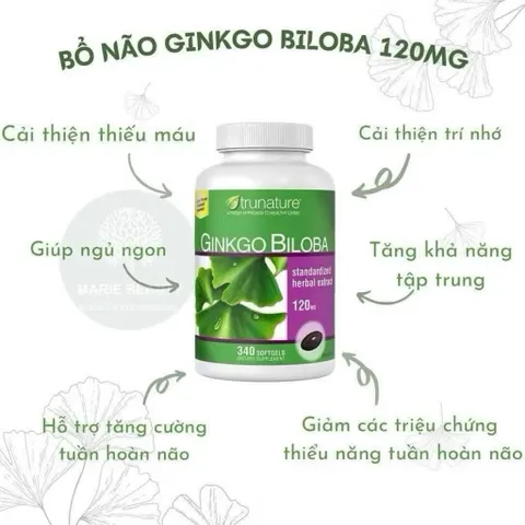 🎓🍀🌸Viên Uống Bổ Não của Mỹ TRUNATURE® GINKGO BILOBA 120mg with VINPOCETINE 340 viên