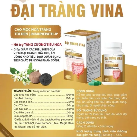 Đại Tràng Vina Hỗ Trợ Giảm Các Biểu Hiện Viêm Đại Tràng 795358