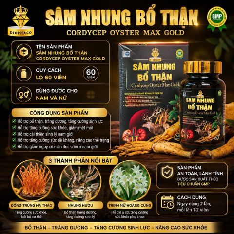 Sâm Nhung Bổ Thận Cordycep Oyster Max Gold – Hỗ trợ bổ thận, tăng sinh lực, giảm tiểu đêm, mệt mỏi 795377