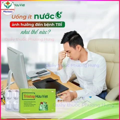 TriStop Hữu Việt Hỗ Trợ Người Bệnh Trĩ, Tăng Sức Bền Thành Mạch, Cải Thiện Sa Búi Trĩ - Hộp30 Viên
