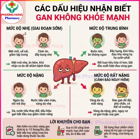 Giải Độc Gan Nam Dược Giúp Bổ Gan,Hạ Men Gan,Giảm Mề Đay,Mụn Nhọt,Mẩn Ngứa - Hộp 30 Viên