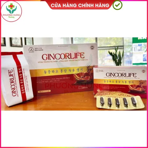 Viên Uống Gincorlife Của Ích Nhân Tăng Cường Sức Khỏe,Đề Kháng,Giúp Ăn Ngon,Giảm Mệt Mỏi-Hộp 60V