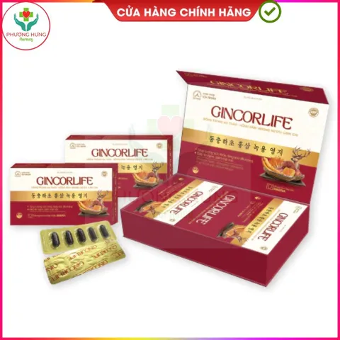 Viên Uống Gincorlife Của Ích Nhân Tăng Cường Sức Khỏe,Đề Kháng,Giúp Ăn Ngon,Giảm Mệt Mỏi-Hộp 60V