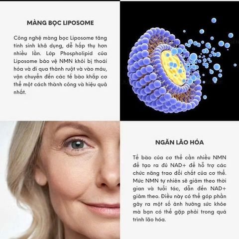 (HÀNG MỸ CHÍNH HÃNG) VIÊN UỐNG LIPOSOMAL