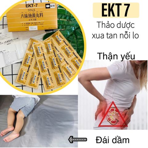 Viên Uống Bổ Thận Kracie Hachimi EKT-7 Nhật Bản (Hộp 252 Viên) - Hỗ Trợ Giảm Tiểu Đêm, Giảm Đau Lưng Mỏi Gối