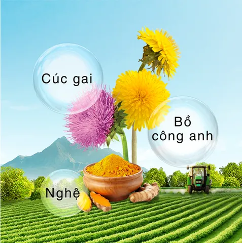 TP BVSK Nutrilite™ Liver Health