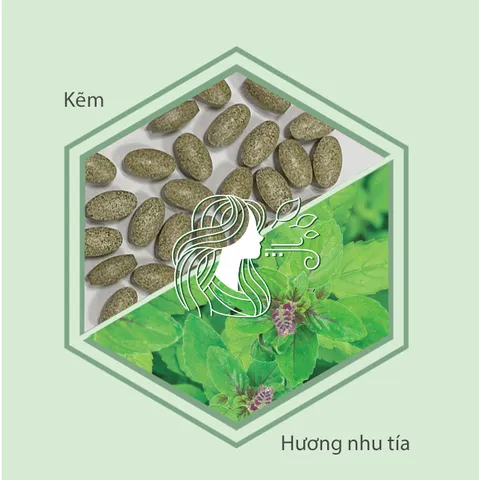 Thực phẩm bảo vệ sức khỏe Nutrilite Immunity Defense ZinC + Holy Basil 795901