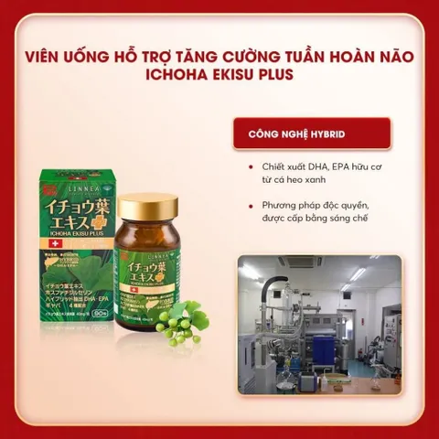 ICHOHA EKISU PLUS NHẬT BẢN 90 VIÊN – HỖ TRỢ TUẦN HOÀN NÃO, TĂNG CƯỜNG TRÍ NHỚ, GIẢM HOA MẮT CHÓNG MẶT
