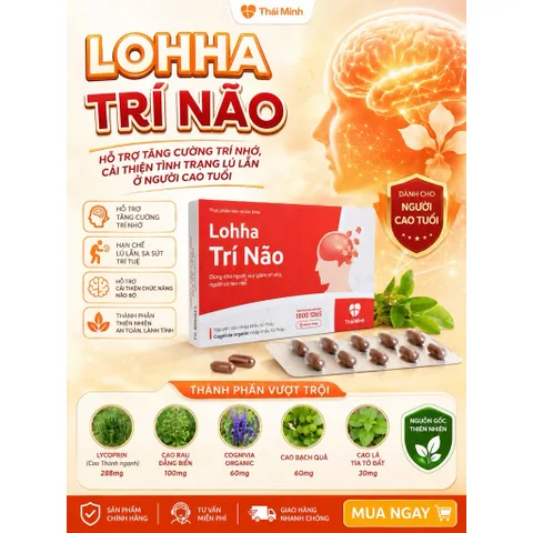 LOHA TRÍ NÃO THÁI MINH