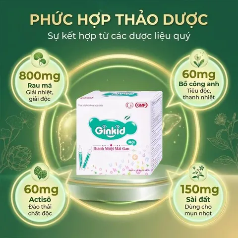 Siro Ginkid thanh nhiệt mát gan giúp giải độc gan, mát gan (4 vỉ x 5 ống x 10ml)