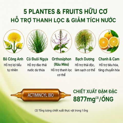 Nước Uống Giảm Mỡ Superdiet Actimincyl Bio – Detox cơ thể, Đốt mỡ, Săn chắc vòng eo – Hộp 20 ống hữu cơ từ Pháp
