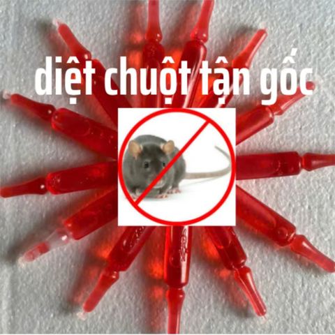 5 lọ diệt chuột dạng màu tự trộn mồi, diệt chuột nhanh