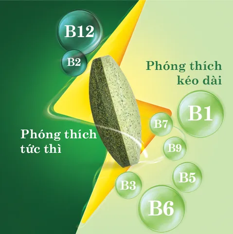 Thực phẩm bảo vệ sức khỏe nutrilite™ vitamin B dual-action 797046