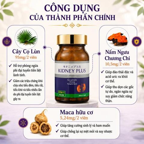 Viên uống bổ thận hỗ trợ giảm chứng khó tiểu tiện, tiểu nhiều lần do thận yếu Kidney Plus Jpanwell (60 viên)