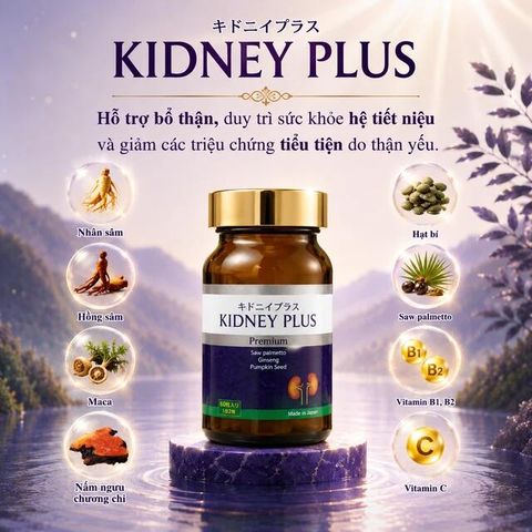 Viên uống bổ thận hỗ trợ giảm chứng khó tiểu tiện, tiểu nhiều lần do thận yếu Kidney Plus Jpanwell (60 viên)